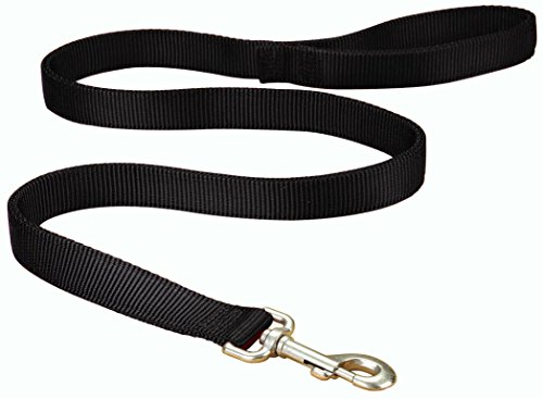 The Different Types of Dog Leashes and How to Use Them